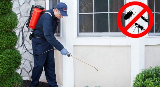 Bozyaka Böcek ve Haşere İlaçlama böcek ilaçlama ve haşere kontrolü — ilaclama-tr.com